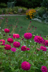 Obraz premium Asticou Garden Flowers
