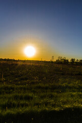 Fototapeta premium Evening at Glacier Ridge Metro Park, Dublin, Ohio