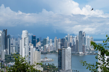 Obraz premium Panama City skyline