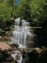Fototapeta premium waterfall in the forest