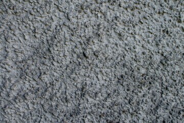 Gray rough concrete surface background and texture