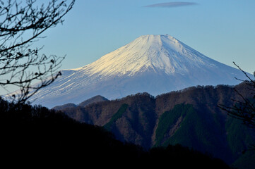 Fototapeta premium 丹沢の袖平山 朝の袖平山北尾根より望む富士山 