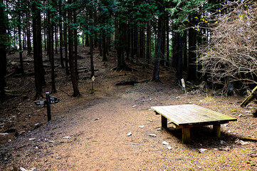 丹沢の登山道　焼山山頂へ続く道
