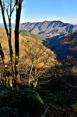 丹沢の能ノ爪　鍋嵐東尾根より望む相州アルプス
