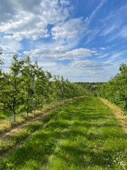 Obraz premium path to the sky