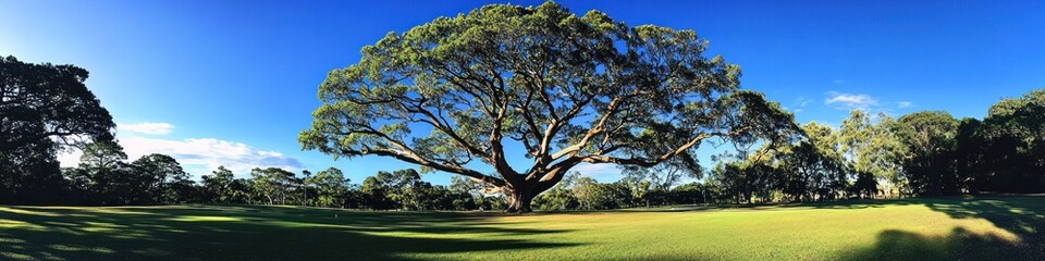 Majestic Tree Stands Tall Over Lush Green Golf Course