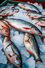 Fresh fish on ice at a fish market, guadeloupe, french west indies- pointe-a-pitre, grand-terre, guadeloupe,