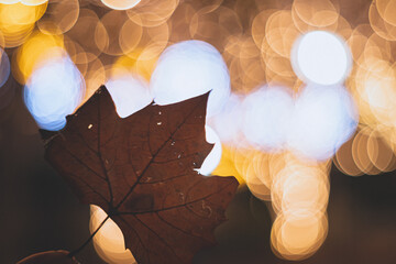 イルミネーション