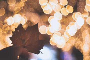 イルミネーション