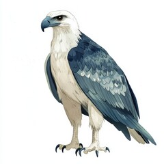 Obraz premium Majestic Bird of Prey with Striking Blue and White Feathers Perched Gracefully Against a Plain Background, Perfect for Nature and Wildlife Themes