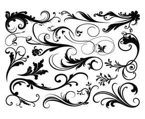Fototapeta premium Elegant Decorative Silhouette Collection Vector Template
