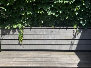 Obraz premium A garden bench