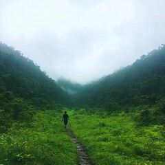Obraz premium Solitary figure hiking verdant mountain path shrouded in mist.