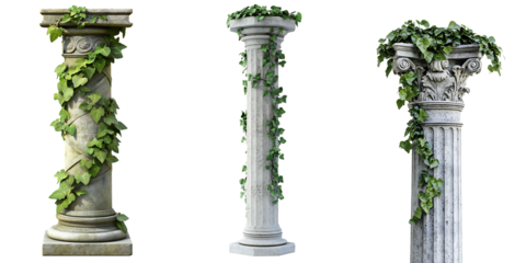Set of a Roman column wrapped in vines, isolated on a transparent background.