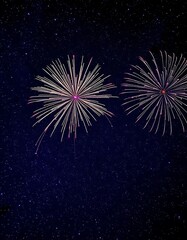 Fototapeta premium fireworks in the night sky