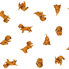 Fototapeta premium Seamless pattern with hand drawn dogs, perfect for textiles,
