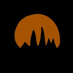 the moon in the night