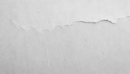 Fototapeta premium Torn Paper Background and Texture