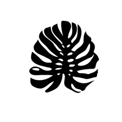 Monstera leaf silhouette isolated on white background as design element. Vector illustration.