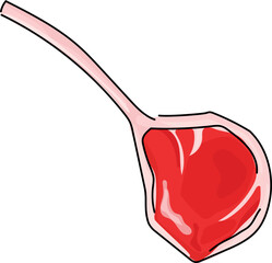 Cartoon Lamb Chop with Bone Illustration.