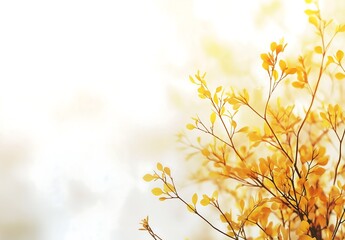 Obraz premium Modern living room with a yellow sofa and white walls, in the style of Scandinavian interior design.