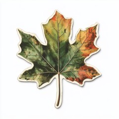 Fototapeta premium Vintage scrapbook style collage paper sticker cutout of a sycamore leaf on white background