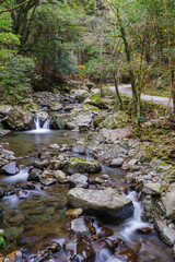 くらがり渓谷の渓流（愛知県岡崎市）