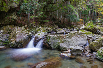 くらがり渓谷の渓流（愛知県岡崎市）