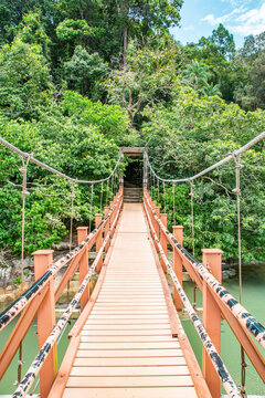Pantai Kerachut Turtle Conservation	
