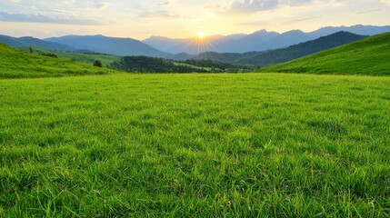 Fototapeta premium Serene Sunset Green Grass Field Mountain Landscape Panorama