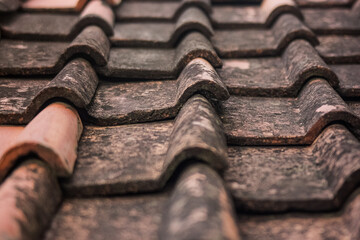 A weathered terracotta roof with patches of moss and discoloration. The roof tiles show signs of age and exposure to the elements.