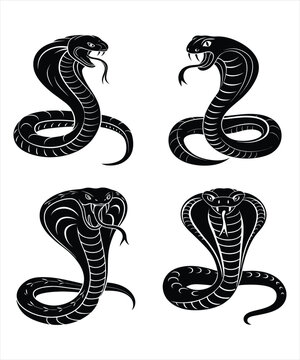 Snake silhouette vector illustration