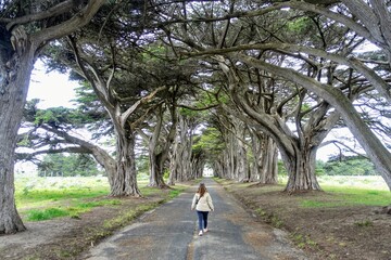 A woman posing in front of famous Monterey cypress tree tunnel, leading to a historic radio station, in Point Reyes National Seashore