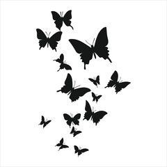 A butterfly silhouette and flower on a white background with a butterfly on it