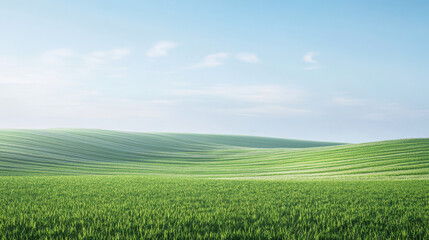 Obraz premium Expansive green fields under a clear blue sky during a sunny day in early summer