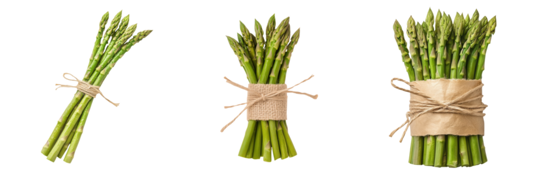 Fresh bundles of asparagus tied with string, showcasing vibrant green stalks and pointed tips, white background, transparent background.