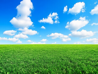 Obraz premium Vast green field under a bright blue sky with fluffy clouds in the afternoon