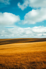 Expansive golden grassland under a vibrant blue sky with fluffy clouds