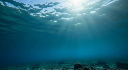 Underwater coral reef