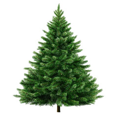 A lush green Christmas tree, symbolizing festive celebrations and holiday spirit.