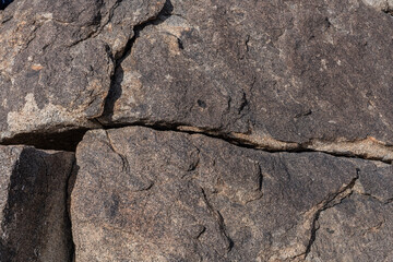 Colorado Desert section of the Sonoran Desert. Pinto Basin Rd, Joshua Tree National Park California，Mesozoi Plutonic Rocks, Gray biotite - rich granodiorite to quartz diorite. granite. Weathering 