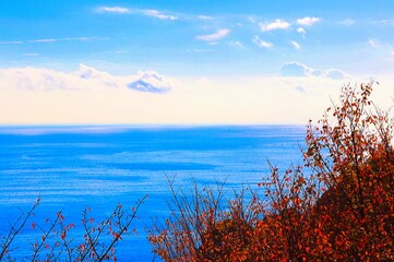 よく晴れた冬の海