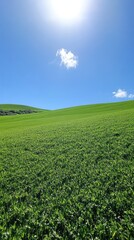 Naklejka premium A vibrant green landscape under a clear blue sky with the sun shining brightly.