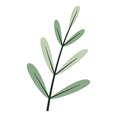 Obraz premium Aesthetic Leaves