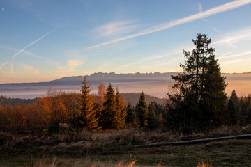 Panorama Tatr widziana z Góry Turbacz podczas zachodu słońca, jesienną porą. Gorce. Turbacz....