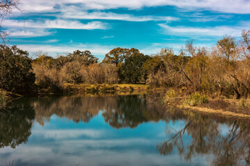 Fototapeta premium Sunny day at the Brazos Bend State Park