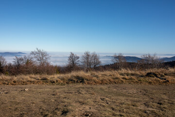 Fototapeta premium Widok z polany pod szczytem Mogielicy. Beskid Wyspowy.