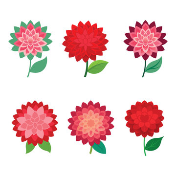 multi color dahlia flower vector collection