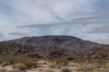Hexie Mountains, Colorado Desert section of the Sonoran Desert. Pinto Basin Rd, Joshua Tree...