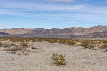Pinto Mountains, Colorado Desert section of the Sonoran Desert. Pinto Basin Rd, Joshua Tree National Park， California